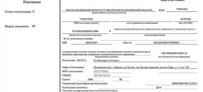 Как вернуть пошлину за права