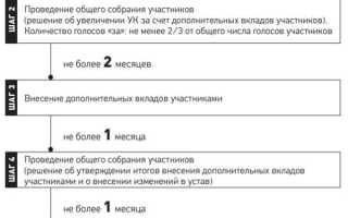 Как уменьшить уставной капитал ооо с одним учредителем