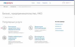 Какие документы выдают при регистрации ип