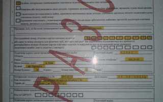 Как заполнять декларацию о доходах госслужащего