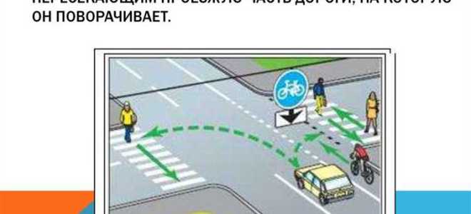 По какой стороне дороги должен идти пешеход