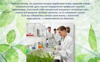 Что делает эколог на предприятии