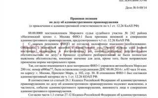 На обозрение суда или суду как правильно