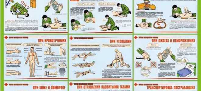 Что такое порядок оказания медицинской помощи