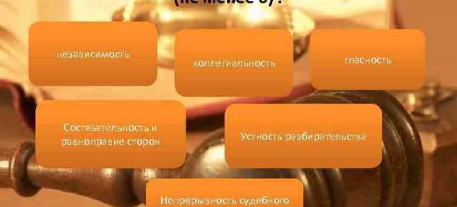 Кто регулирует деятельность судебной власти