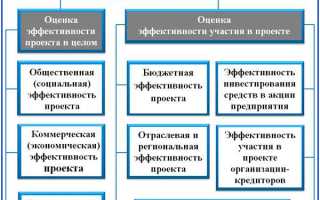 Что представляет собой оценка бюджетной эффективности проекта