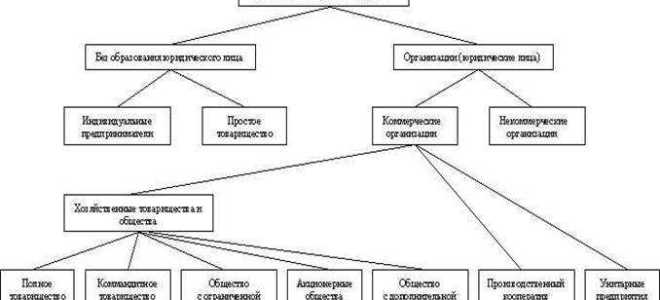 Предприятие имеет конкретного собственника в качестве которого могут выступать