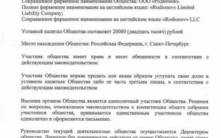 Как узнать какой типовой устав использует общество