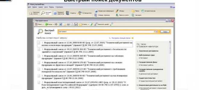 Какую информацию выводит кнопка справка в спс консультант плюс
