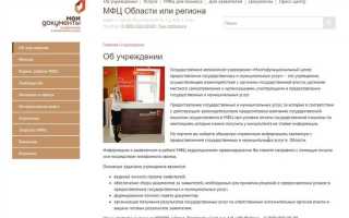 Мфц для оив что это