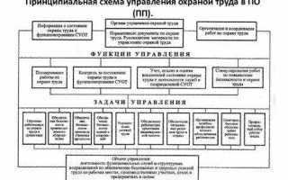 Кому подчиняется служба охраны труда в организации