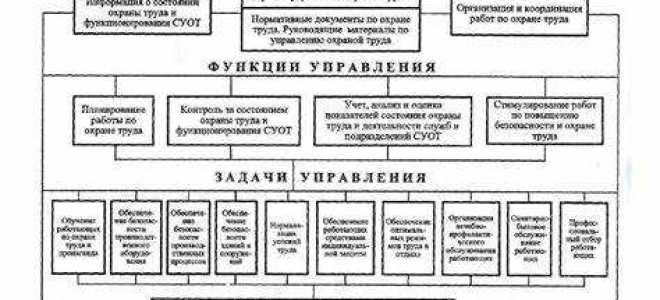 Кому подчиняется служба охраны труда в организации
