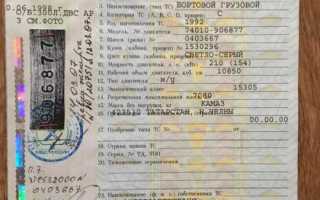 Дата выдачи птс где смотреть