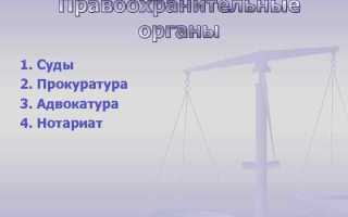 Из скольких звеньев состоит система органов прокуратуры