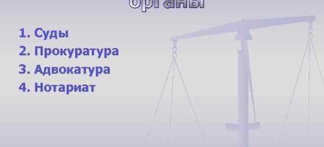 Из скольких звеньев состоит система органов прокуратуры