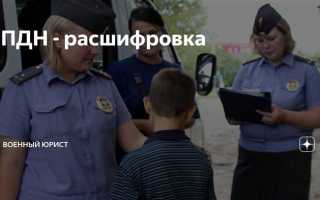 Когда пдн может прийти домой