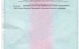 Как отозвать исполнительный лист у приставов