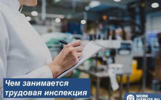 Что делает трудовая инспекция после обращения