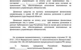 Как подать на банкротство физическому лицу самостоятельно