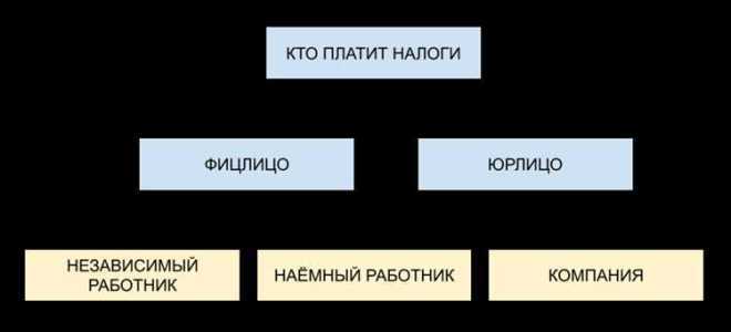 Что такое налог у источника выплаты