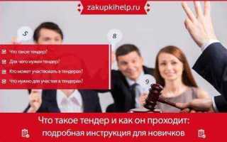 Открытые торги посредством публичного предложения что это такое