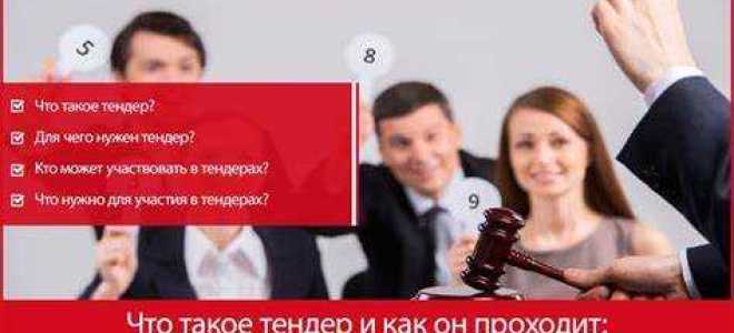 Открытые торги посредством публичного предложения что это такое