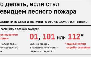 Что входит в ограничение по применению