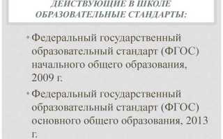 Какая образовательная организация создана физическими или юридическими лицами