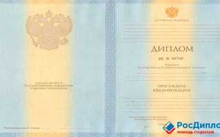 Дата выдачи диплома где указана