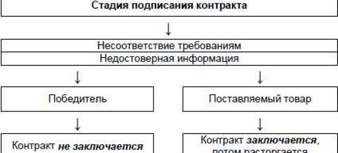 За что несут ответственность руководители подрядных организаций