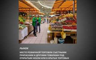 Развозная и разносная розничная торговля что это