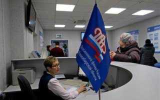 Какой территориальный орган пфр указывать в заявлении