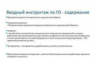 Кто проводит вводный инструктаж по го