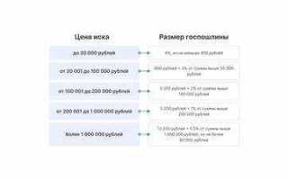 Что будет если не платить госпошлину по решению суда