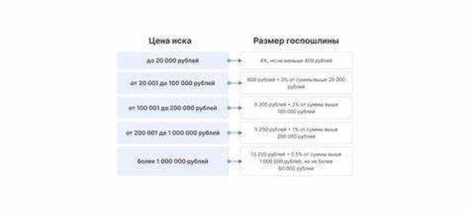 Что будет если не платить госпошлину по решению суда