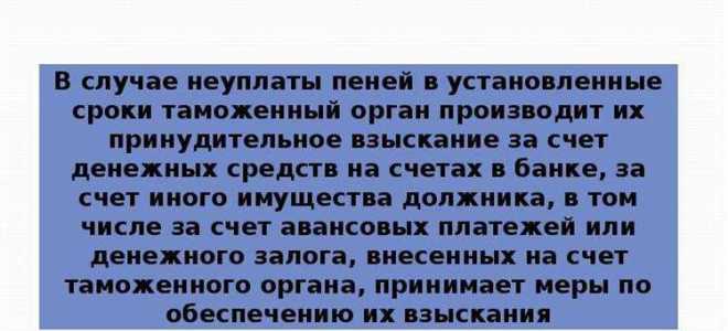 Когда был мораторий на начисление пени