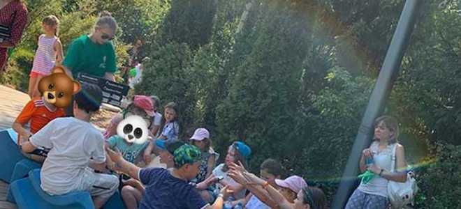 Со скольки лет можно стать губернатором
