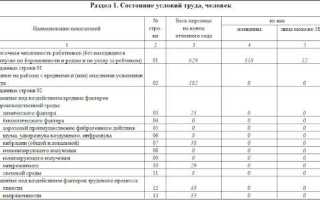 Прием на работу 2023 какой отчет сдавать
