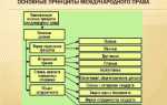 Право прав человека как отрасль международного права сложилась