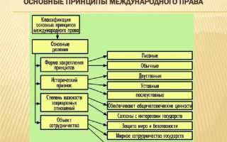Право прав человека как отрасль международного права сложилась