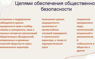 Что понимается под общественной безопасностью