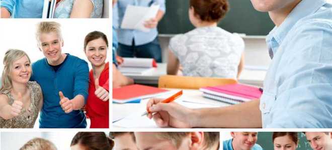 Чем отличается бакалавриат от специалитета