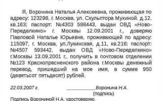 Как получить копию устава из налоговой 2023