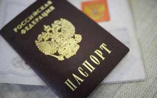 Получение гражданства рф как носитель русского языка