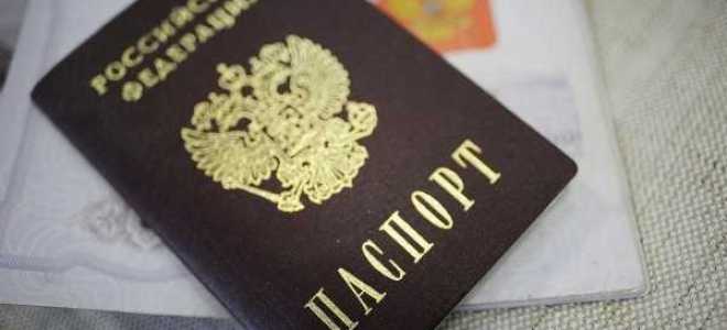 Получение гражданства рф как носитель русского языка