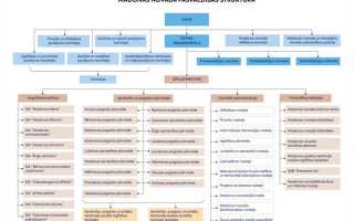 Какие органы входят в публичную администрацию