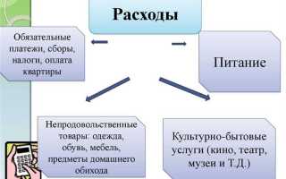 Какие финансовые категории объединяет в себе бюджет государства