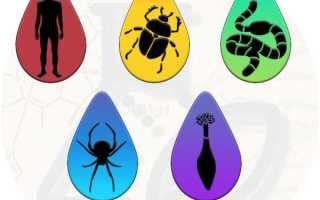 Что не должно быть нанесено на подножке монтерского когтя лаза