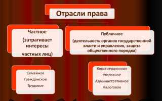 Чем отличается система права от правовой системы