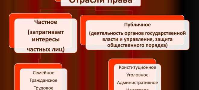 Чем отличается система права от правовой системы